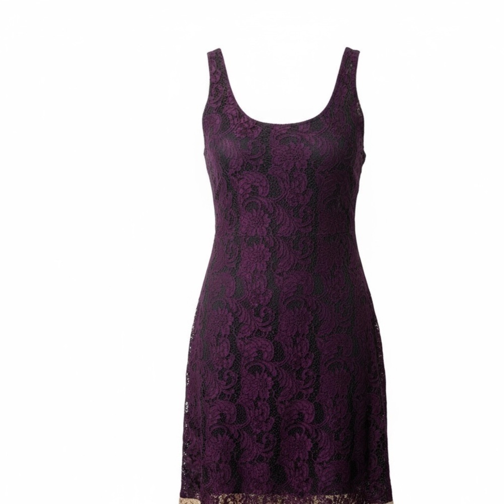 Aritzia Purple lace dress